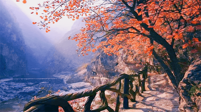 郑国渠景区·秋有红叶