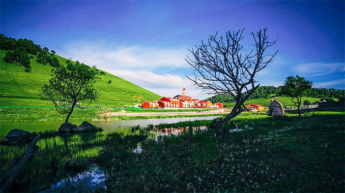 关山牧场·美景