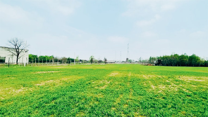 西安大草海农场