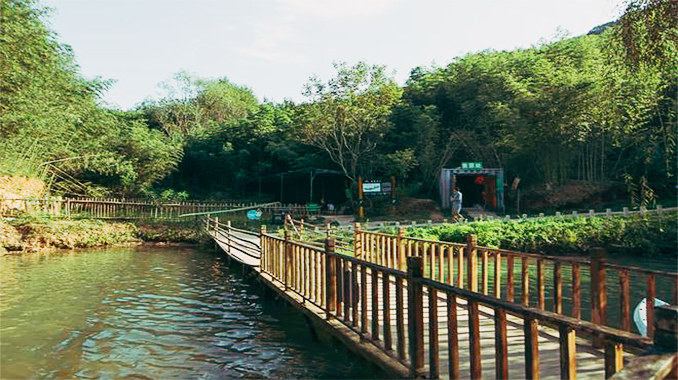 鲸鱼沟竹海风景区