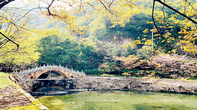 祥峪森林公园风景