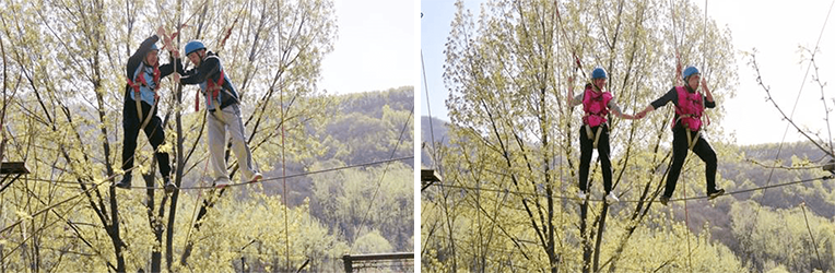 未标题-6.png