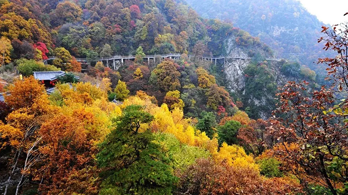 渭南少华山国家森林公园
