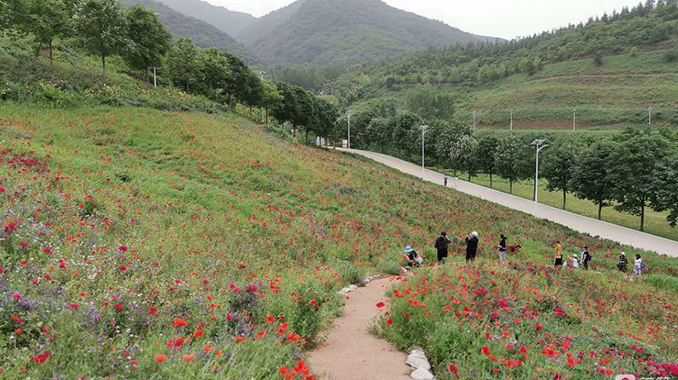 西安周至·秦岭国家植物园