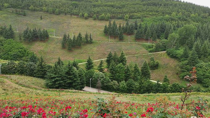 西安周至·秦岭国家植物园
