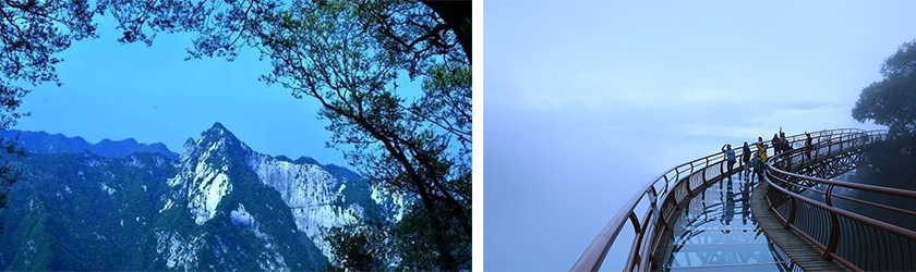 未标题-1.png